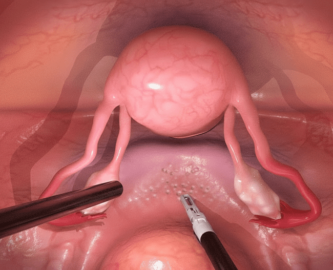 Property 1=Frame 1984078303